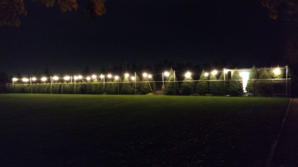 Spartans Tree Lot