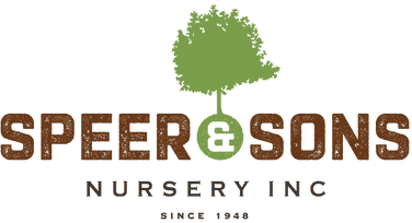 Speer & Sons Nursery