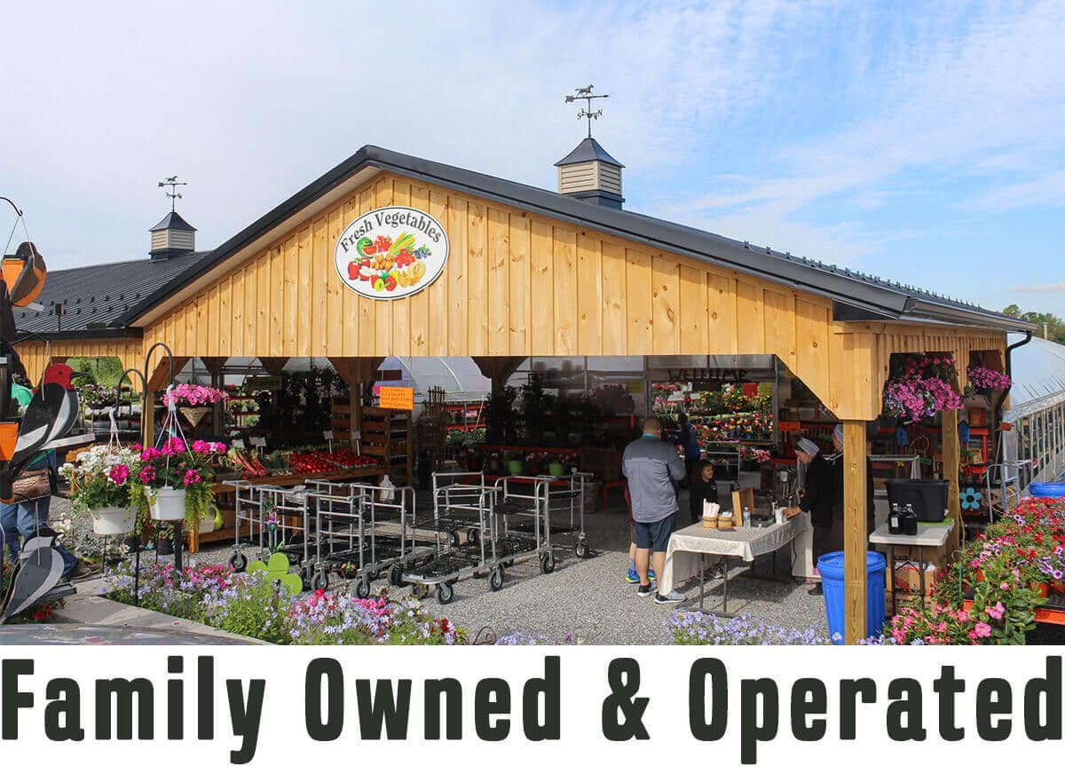 Spooky Nook Produce, Greenhouse, & Saturday Chicken BBQ