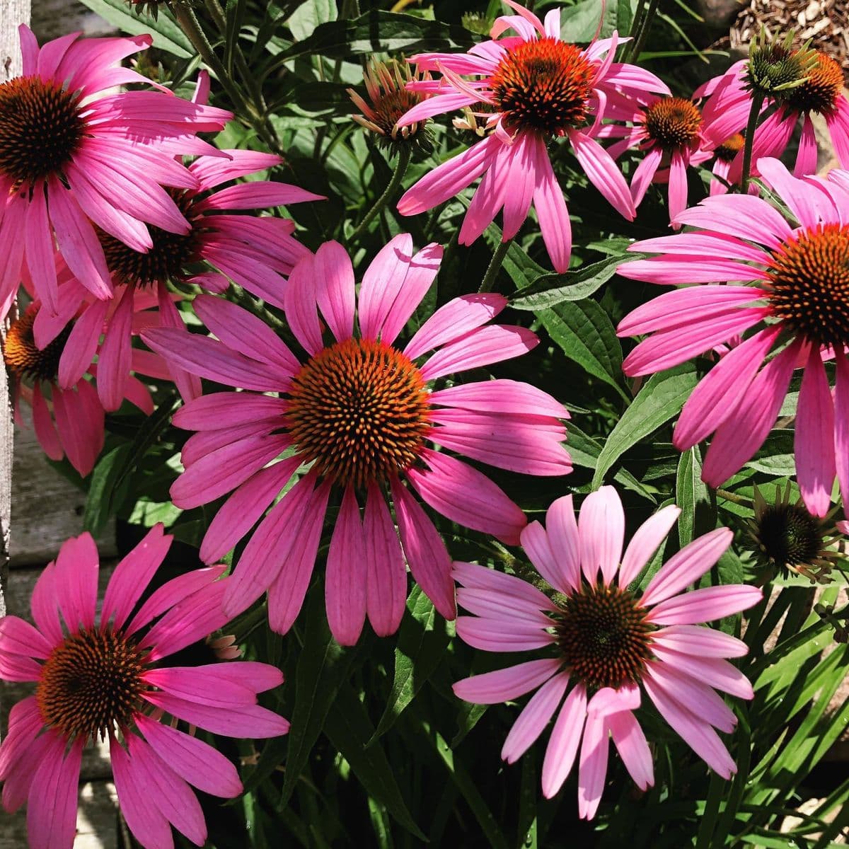 Spray's Landscape Services