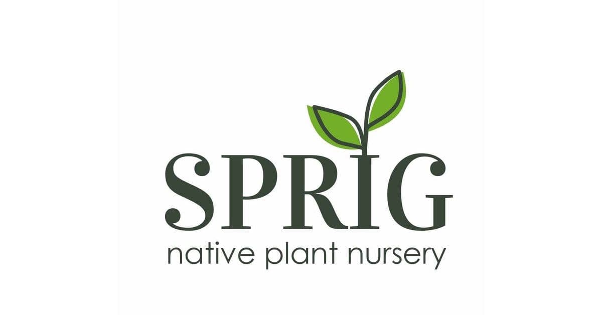 Sprig Native Plant Nursery (online orders only)