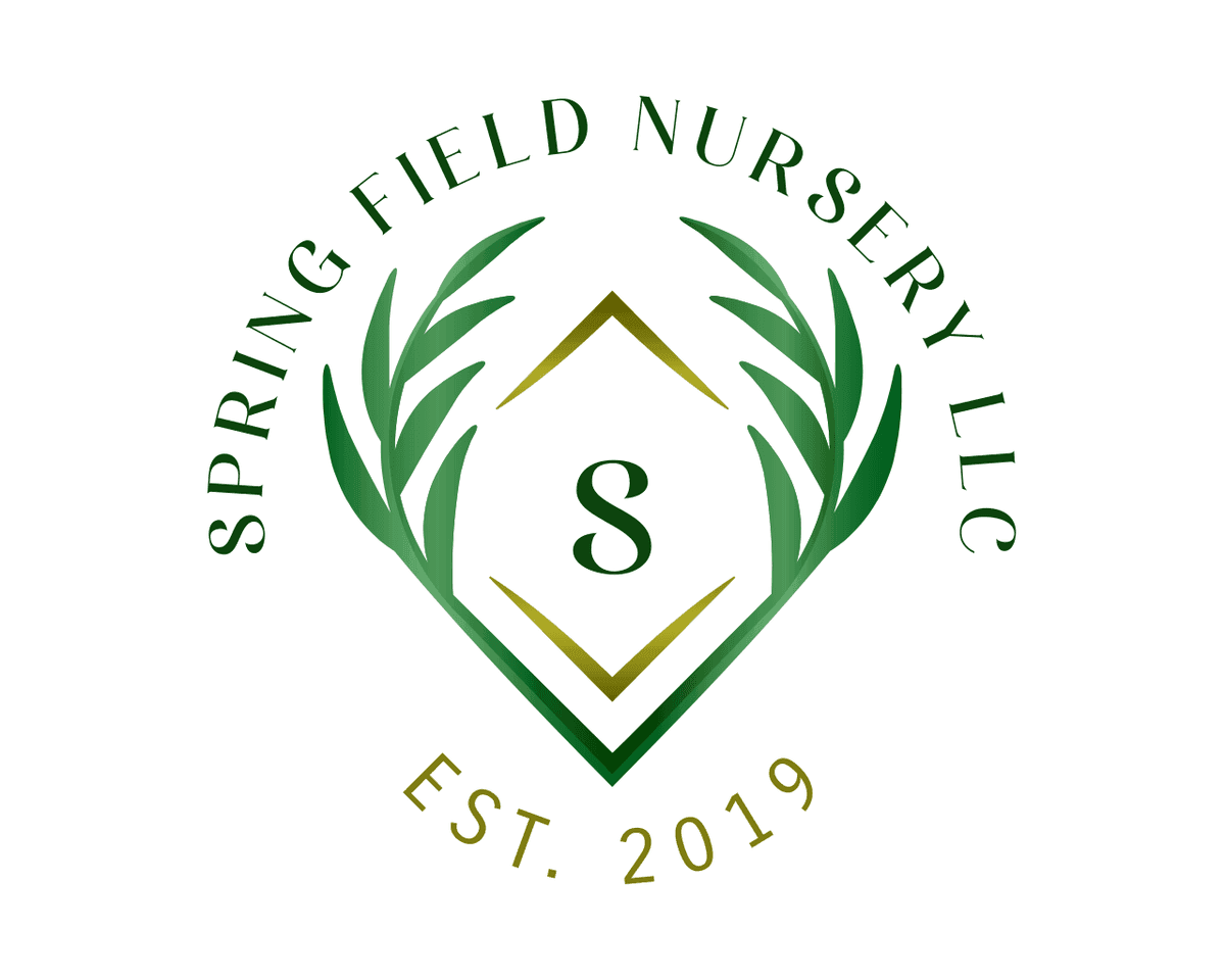 SPRING FIELD NURSERY