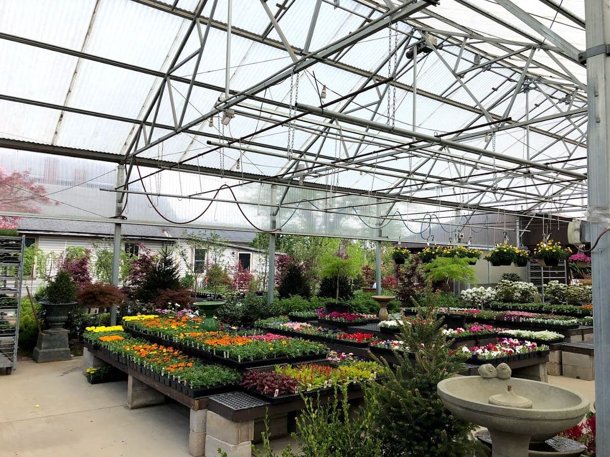 Springdale Garden Center