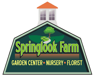 Springlook farm