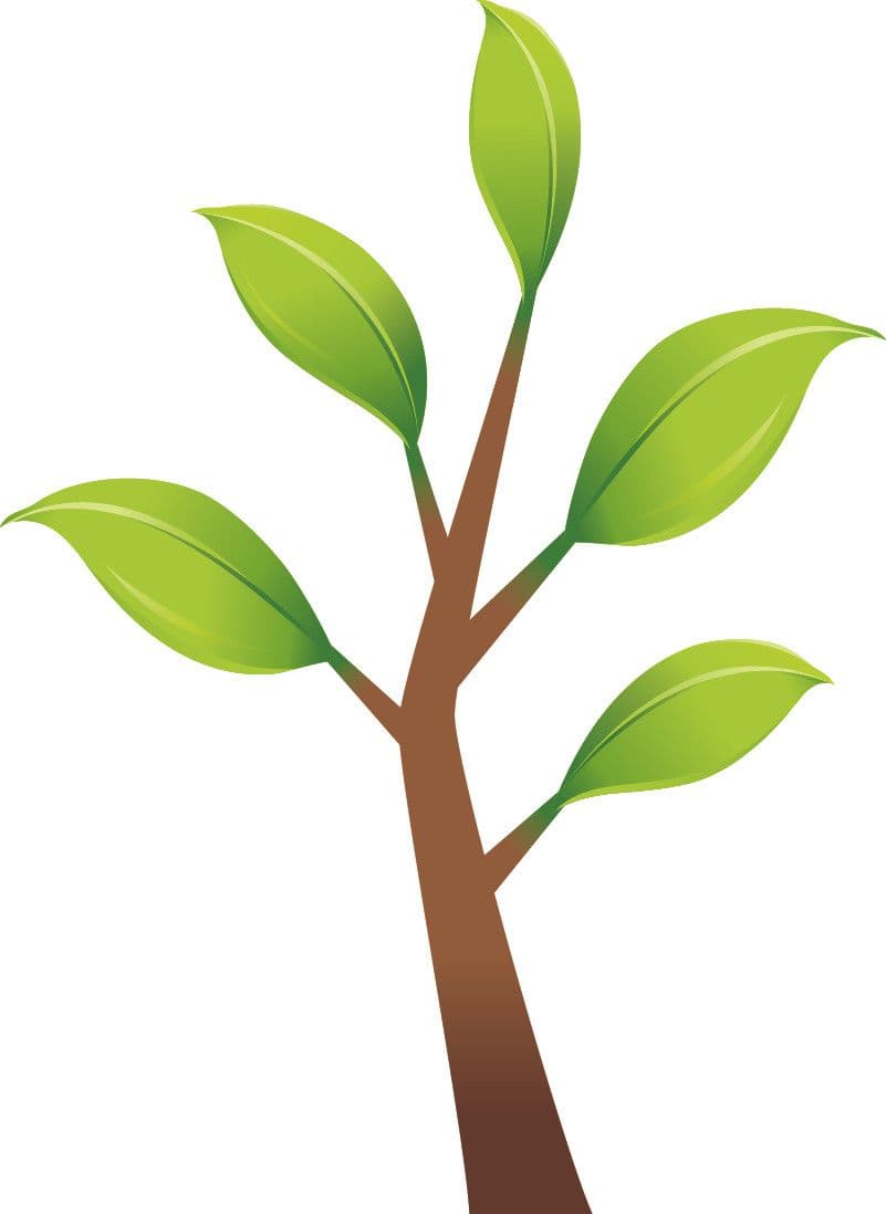 Springwater Greenhouse & Landscaping