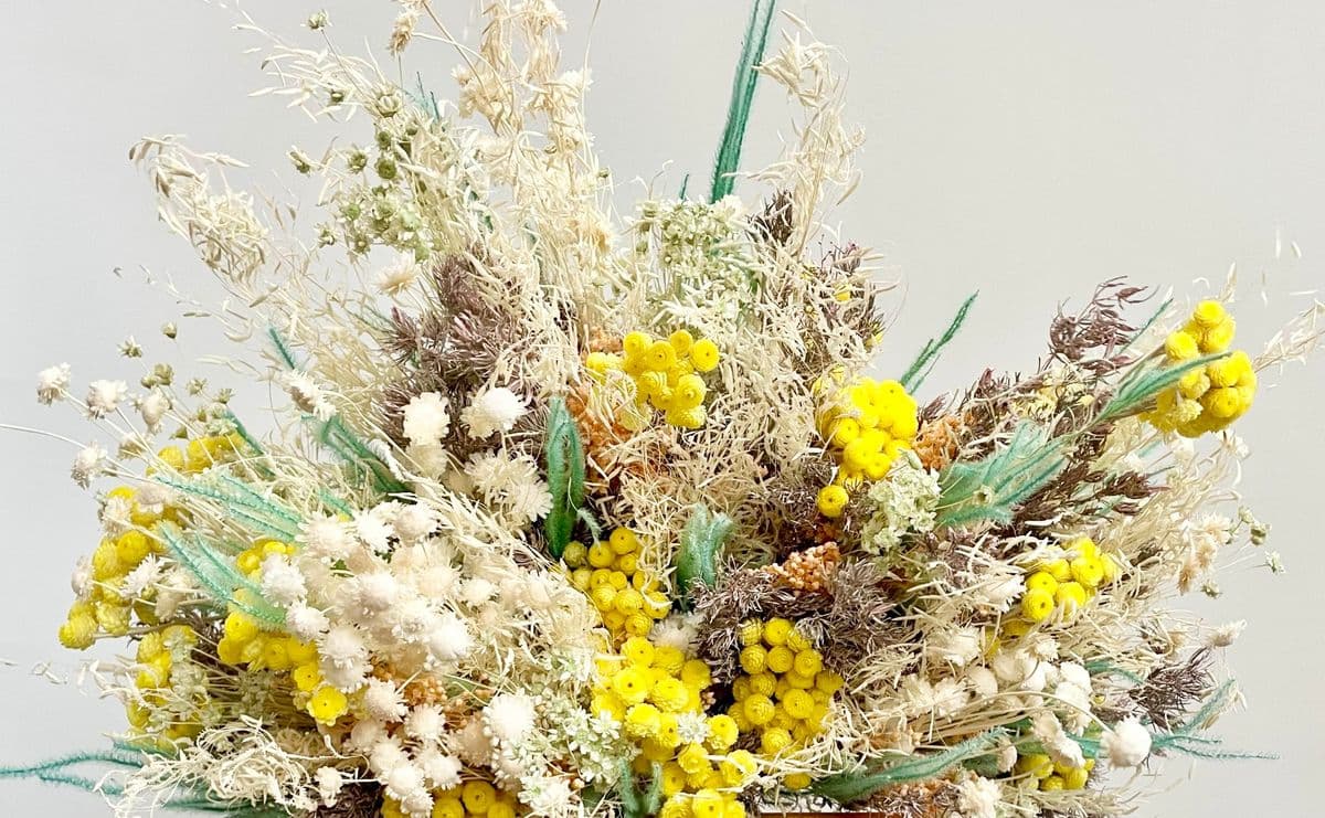 Sprout Home Floral