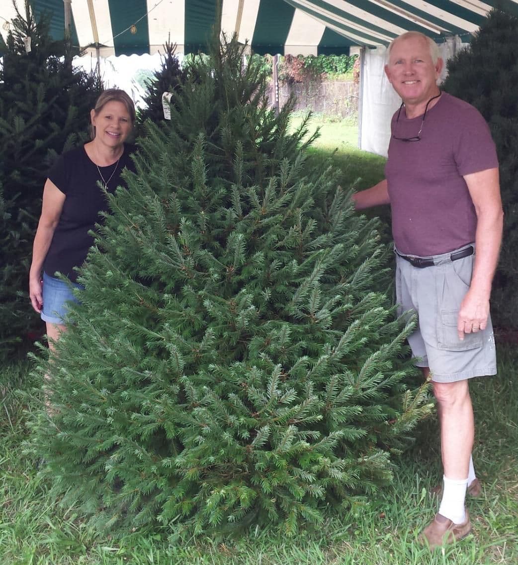 Spruce Goose Christmas Tree Farm