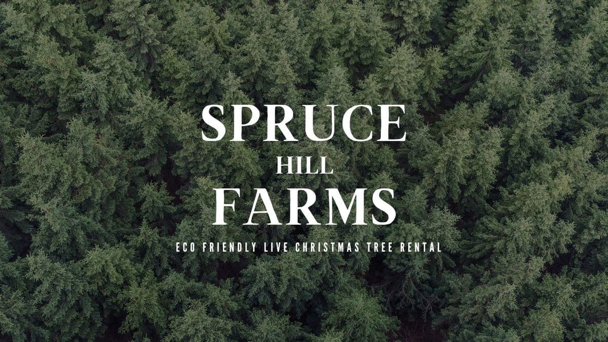 Spruce Hill Farms