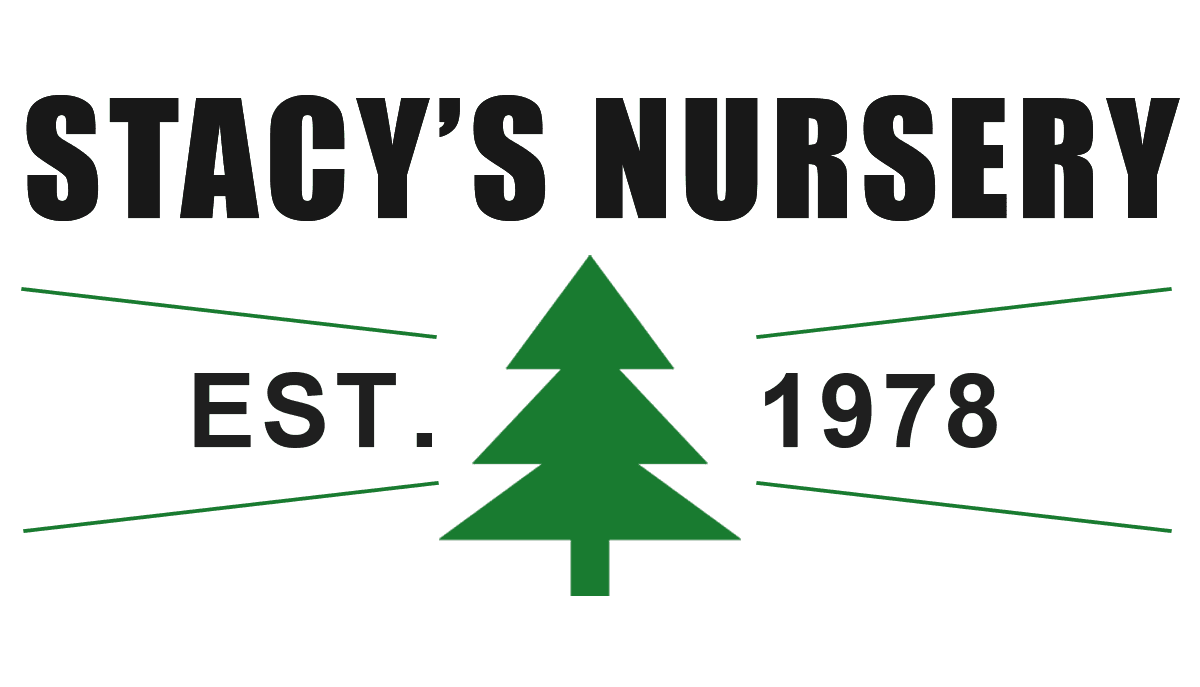 Stacy's Nursery