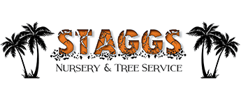 Staggs Nursery