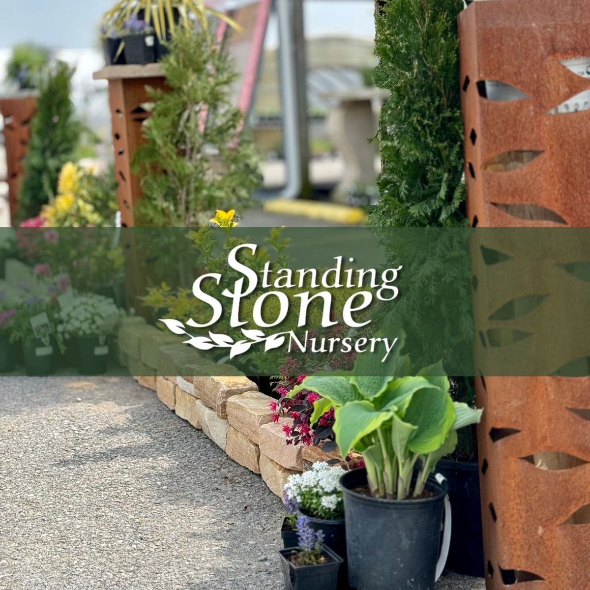 Standing Stone Nursery