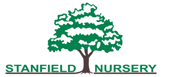 Stanfield Nursery