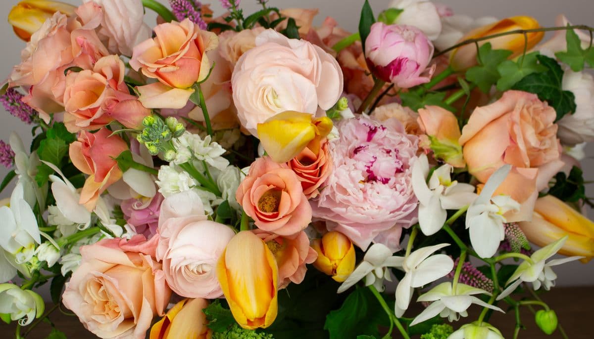 Stapleton Floral