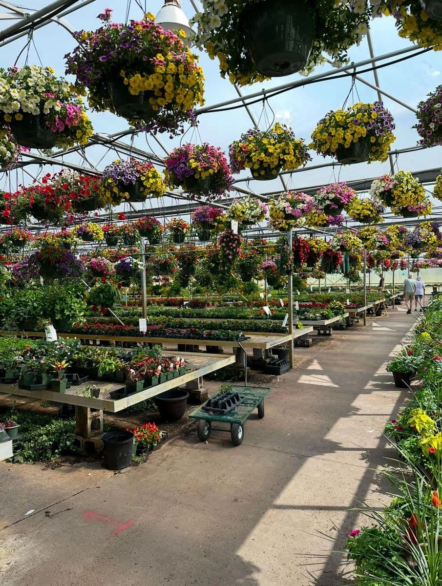 Star Greenhouse Inc