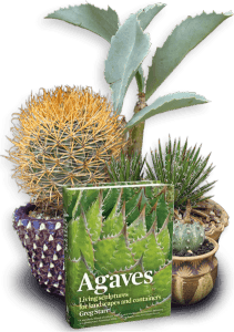 Starr Nursery
