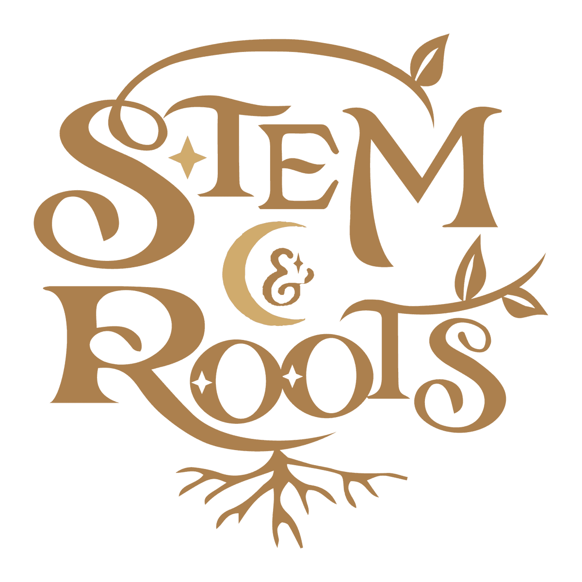 Stem and Roots: House Plant Boutique