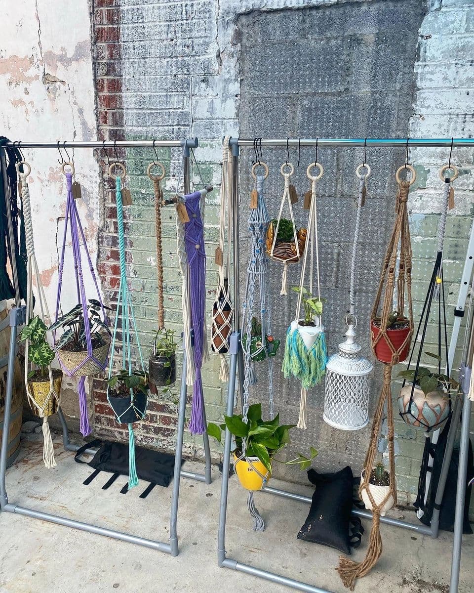 Steph's Plants and Macramé