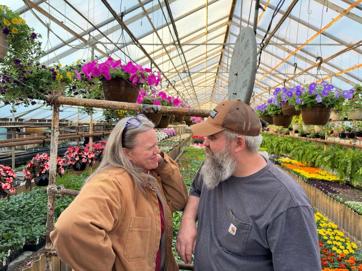 Steve's Greenhouse & Florist
