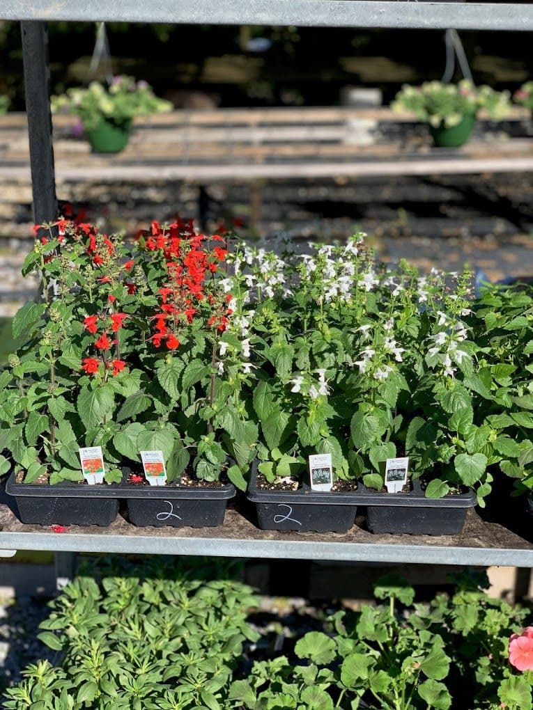 Stewart's Lawn & Garden