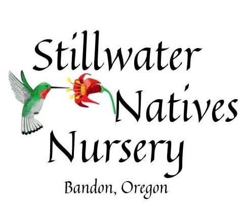 Stillwater Natives Nursery