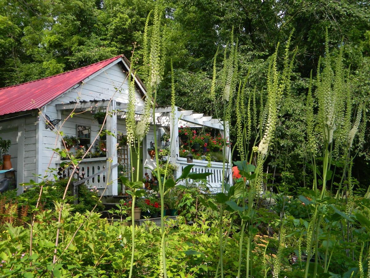 Stockholm Gardens