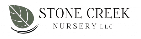 Stone Creek