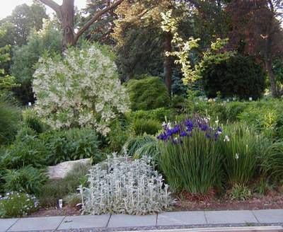Stony Hill Perennial Farm