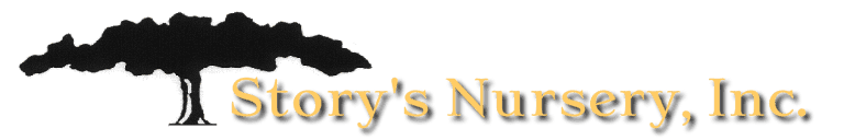 Story's Nursery Inc