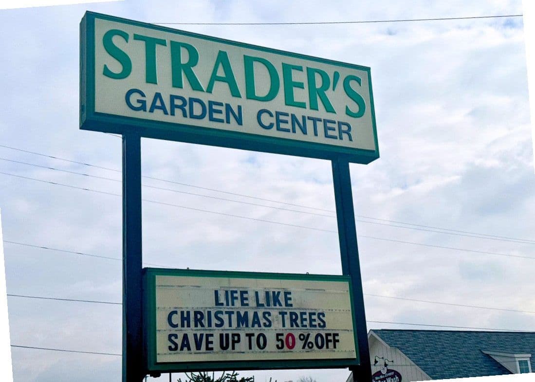 Strader's Greenhouses-Wholesale