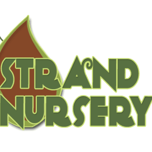 Strand Nursery