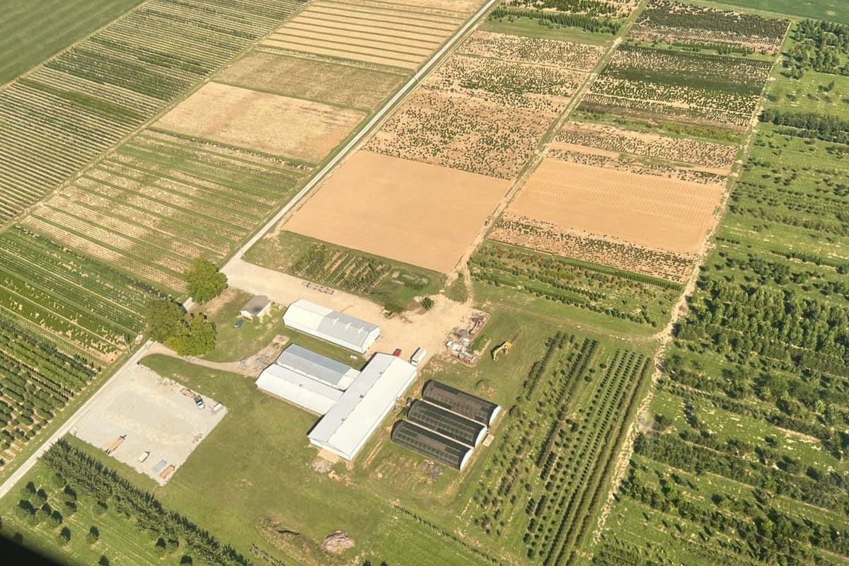 Strausburg Nursery