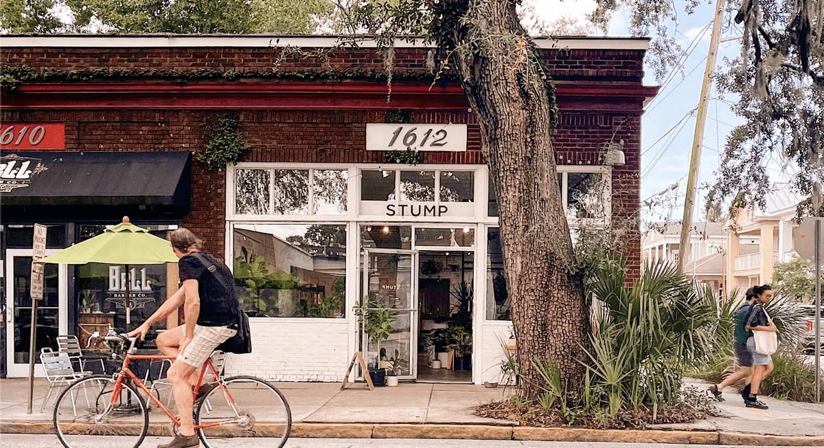 STUMP Plants : Savannah
