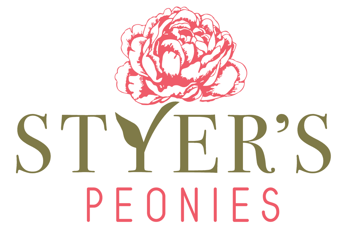 Styers Peonies