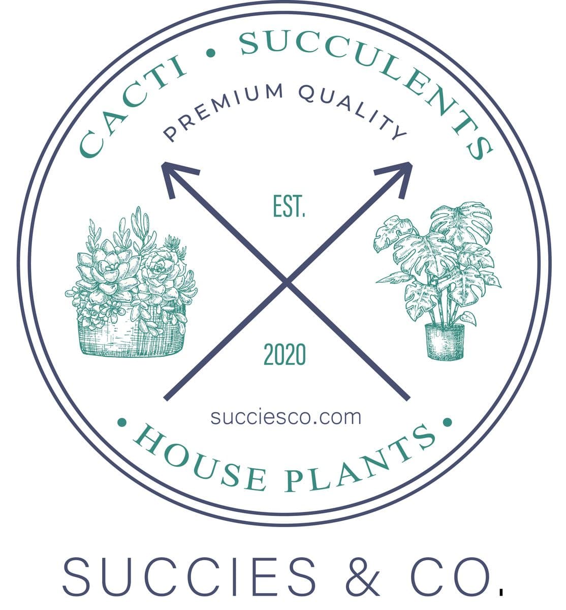 SUCCIES & CO.