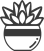 Succulent Studios