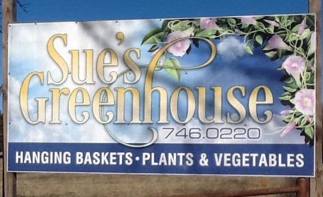 Sue's Greenhouse