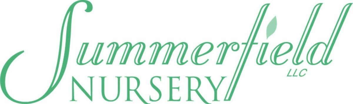Summerfield Nursery