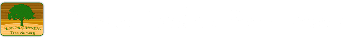 Sumter Gardens