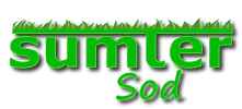 Sumter Sod