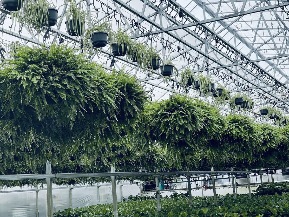 SunBlest Gardens