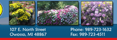 Sunburst Gardens Inc
