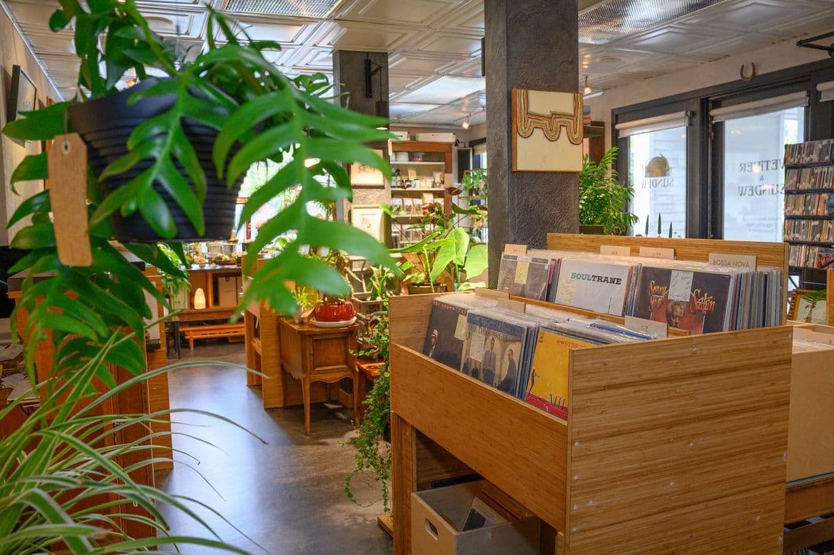 Sundew Records and Plants