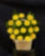 Sungate's Dahlias