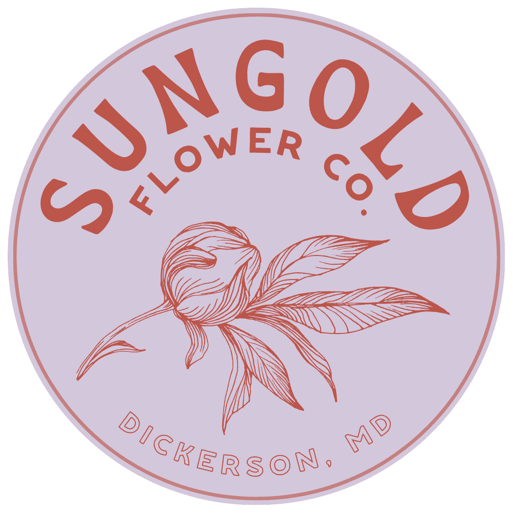 SUNGOLD Garden + Studio