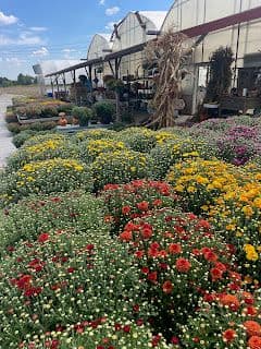 Sunnyside Greenhouses
