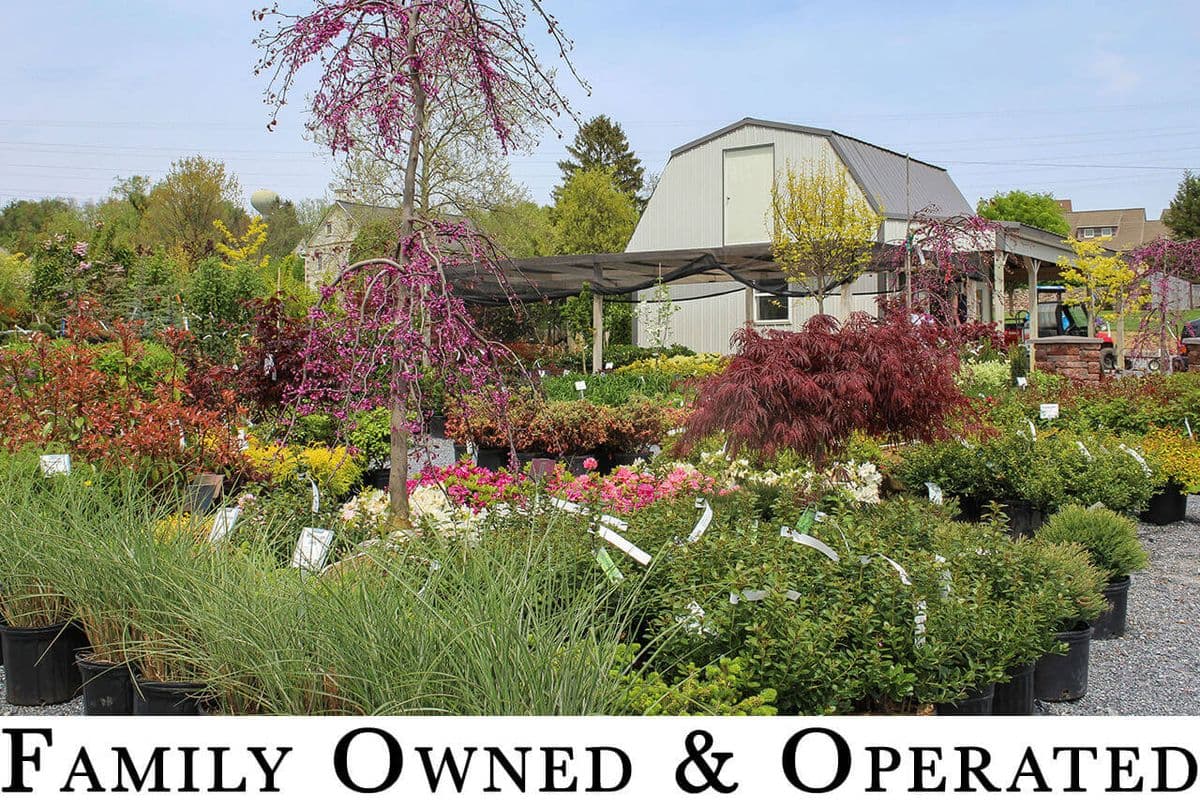Sunset Acres Nursery