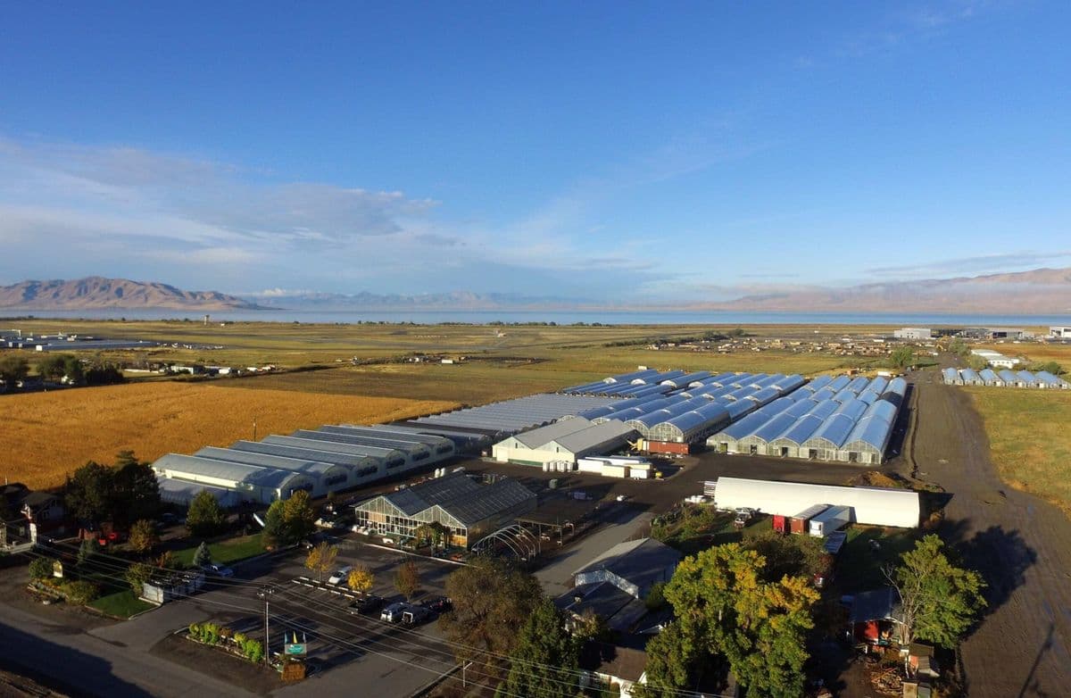 Sunshine Greenhouses Wholesale