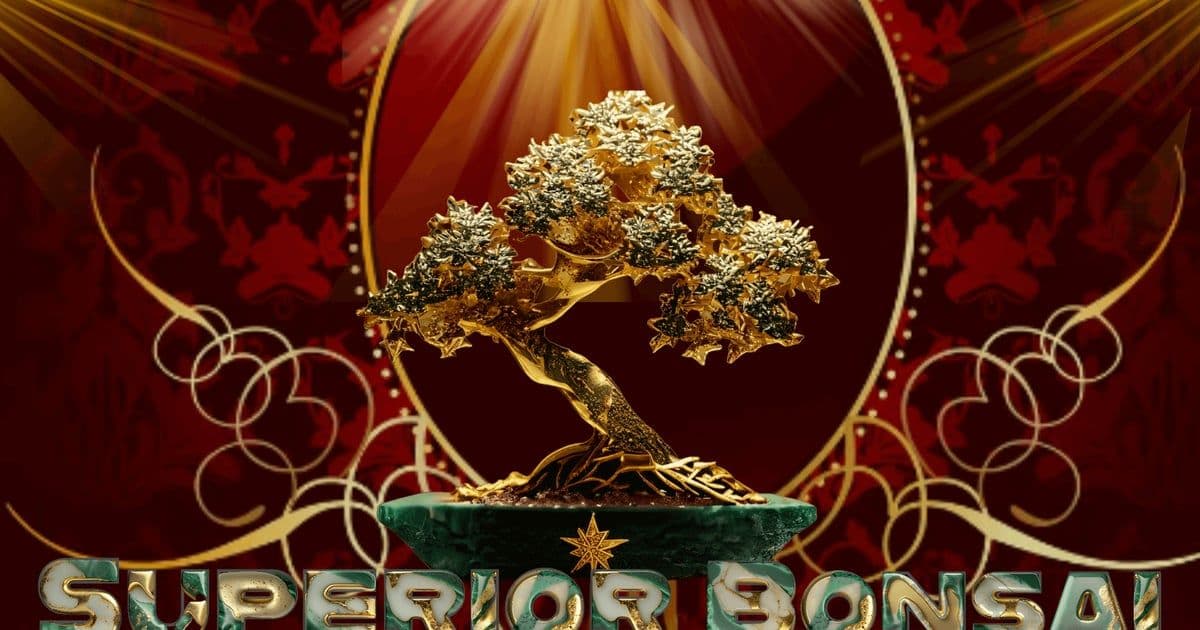 Superior Bonsai - Real Live Bonsai Trees & Accessories