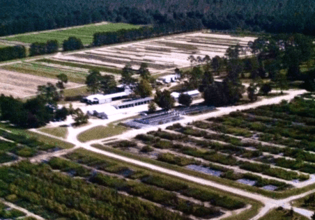 Superior Trees Inc