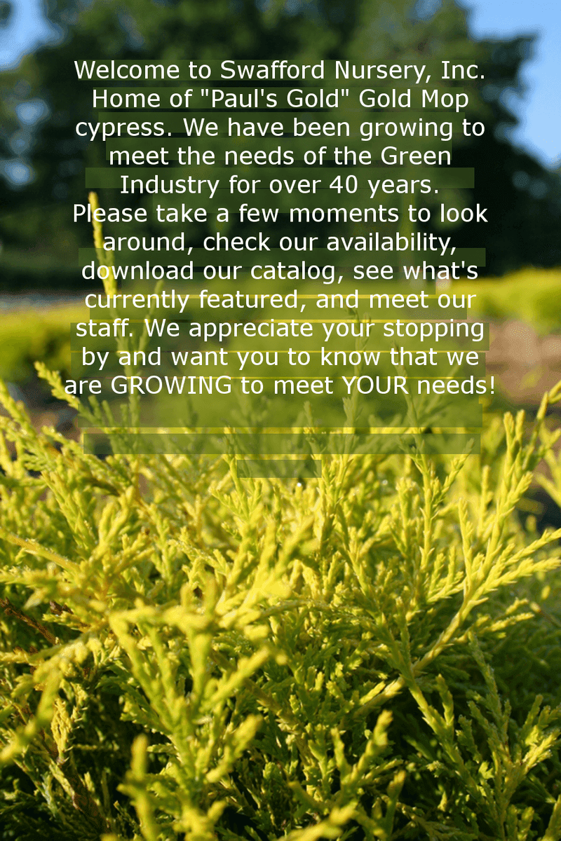 Swafford Nursery Inc